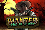 Wanted Dead or a Wild